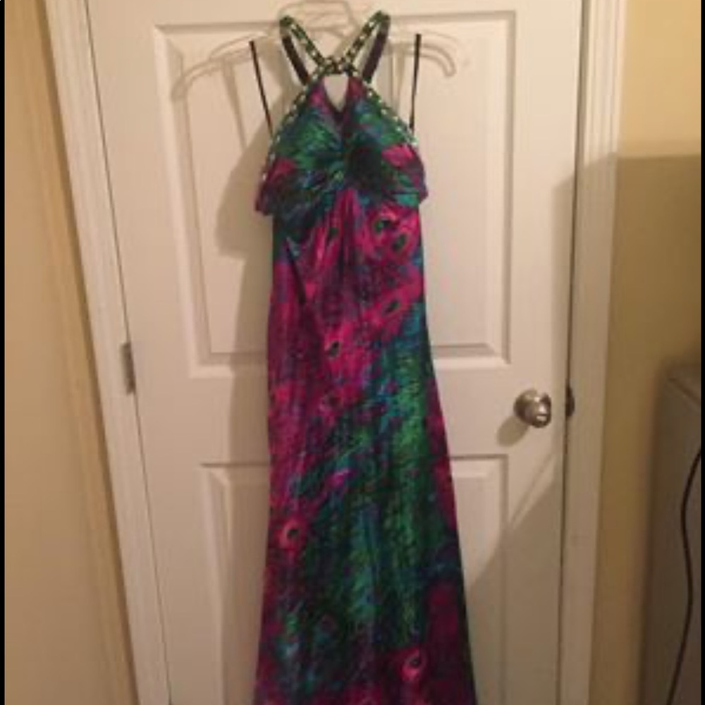 Size 4, petite peacock dress - Picture 3 of 6